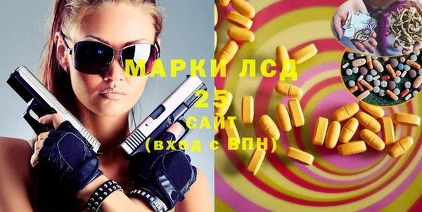 шишки Няндома