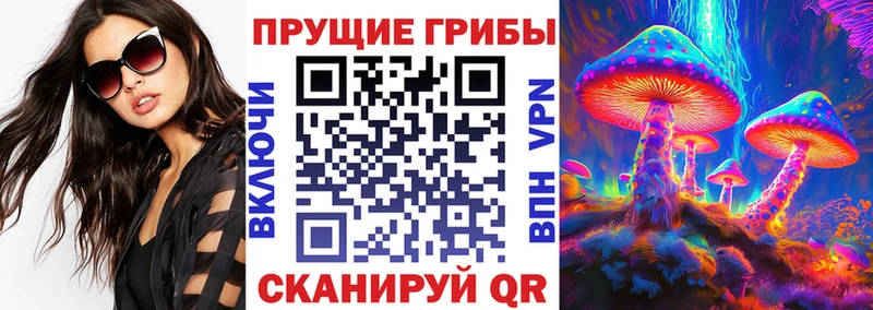 Галлюциногенные грибы мицелий  Бодайбо 
